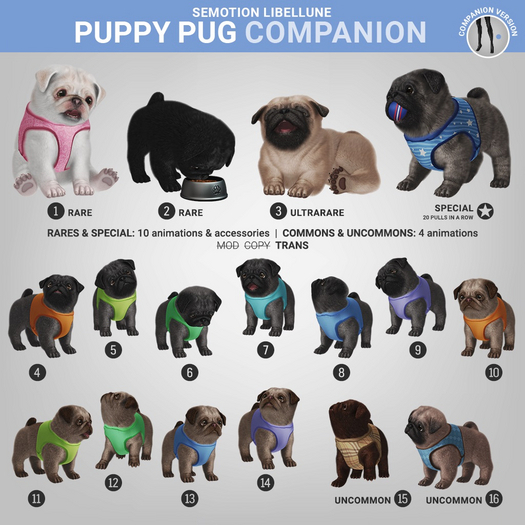 SEmotion Libellune Puppy Pug Companion RARE 01