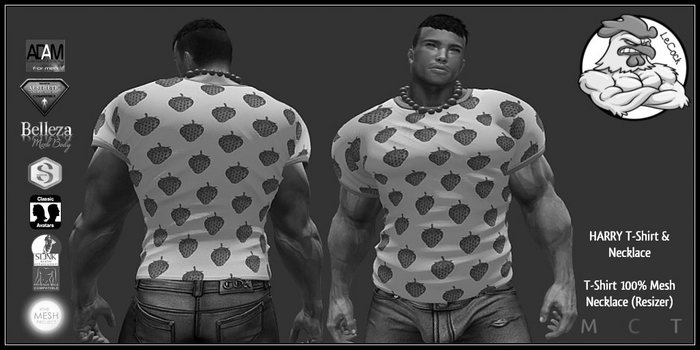 LeCock - HARRY T-Shirt & Necklace DEMO