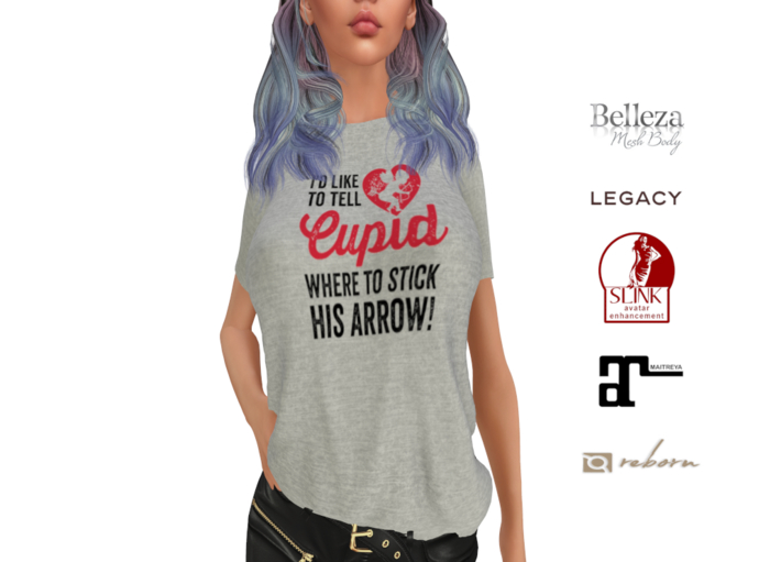 Stick His Arrow Womens Classic Tee  V-Day 2024