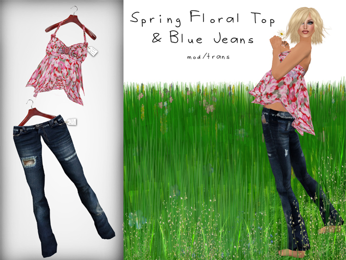 PROMO Spring Floral Top & Blue Jeans