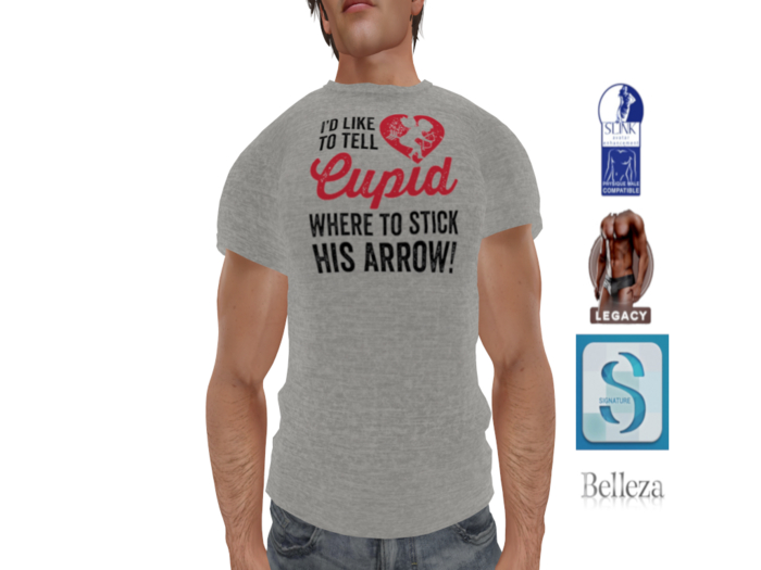 Stick His Arrow Men's Classic Tee's V-Day 2024