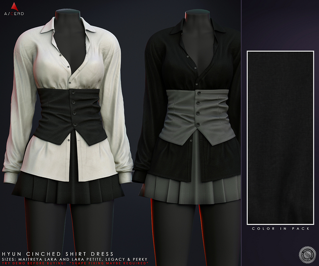 //Ascend// Hyun Cinched Shirt Dress - Black