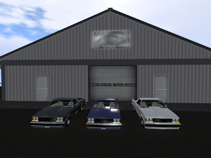 86 El Camino SS  Boxed