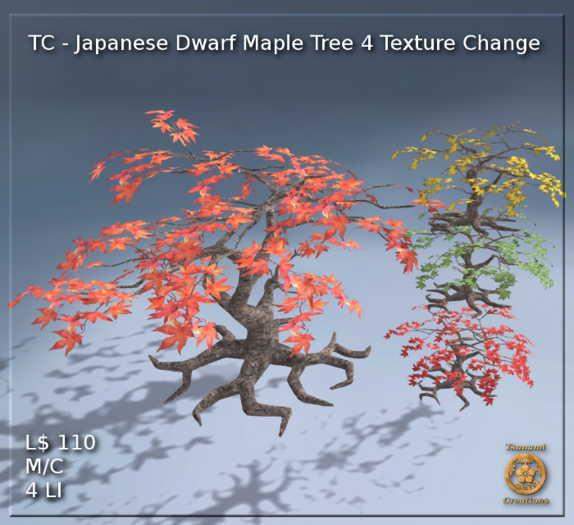Japanese Dwarf Maple Tree 4 Texture Change