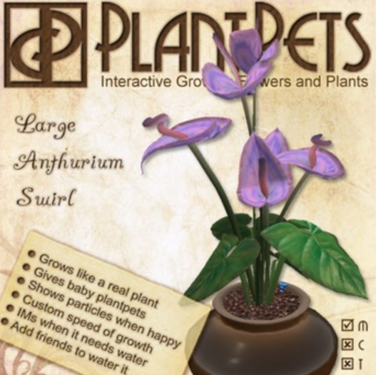 PlantPet Seed [Large Anthurium *Swirl*]