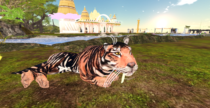 WK~Firestorm Tiger~ Perma pet