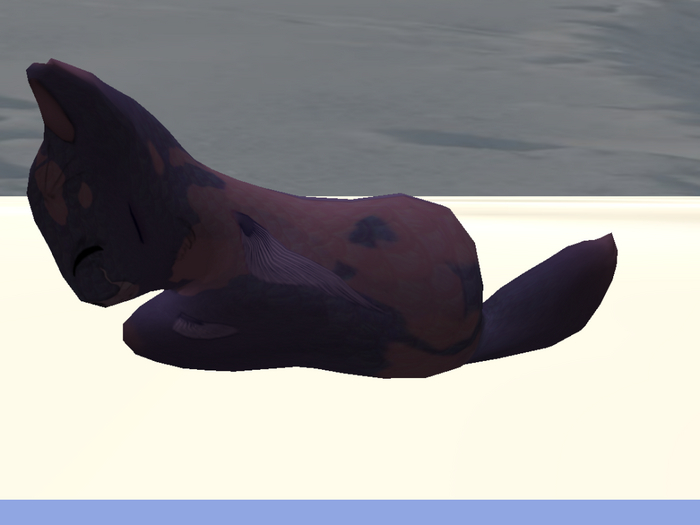 Stray Cats Kitten - Stray Kitty (F)