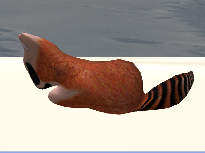 Stray Cats Kitten - Stray Kitty (F)