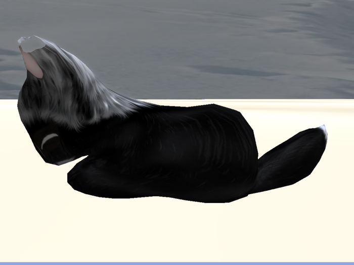 Stray Cats Kitten - Stray Kitty (M)