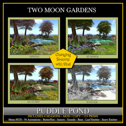 Garden|Pond|ChangingSeasons