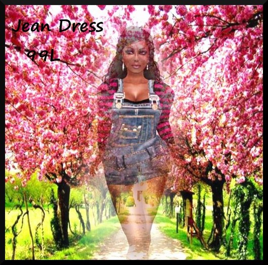 Jean Dress outfit