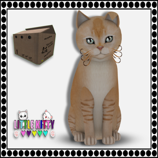KittyCatS Box - 9T Burmilla - Red Silver Shaded M