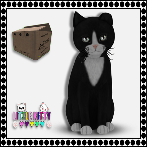 KittyCatS Box - 9T Chateau Cat - Black & White No. 3 F