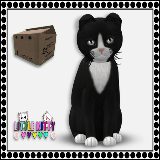 KittyCatS Box - 9T Chateau Cat - Black & White No. 3 M