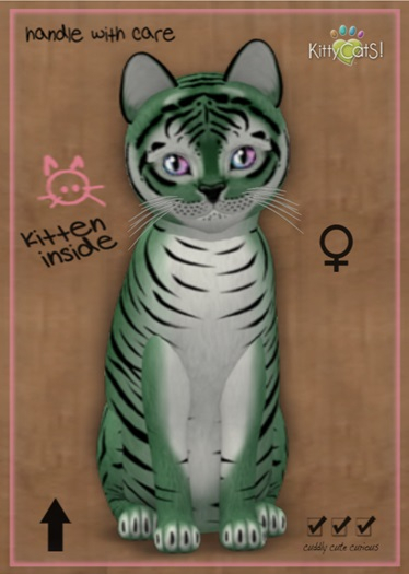MEGAPUSS: KittyCatS Box - Tiger! - Dusky Green - MegaPuss