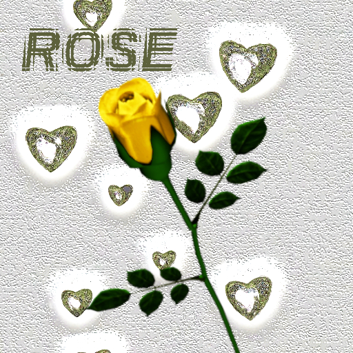 ROSE YELLOW FRIENDSHIP Single