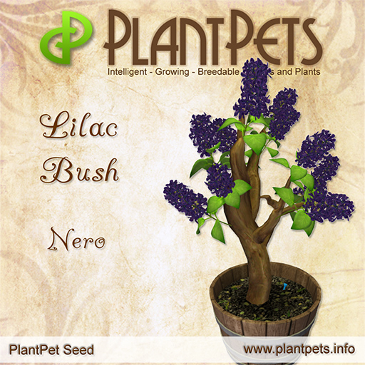 PlantPet Seed [Lilac Bush *Nero*]