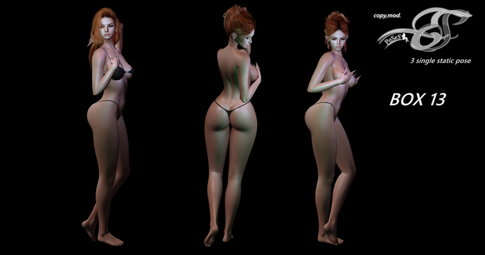 ES Poses - BOX 13