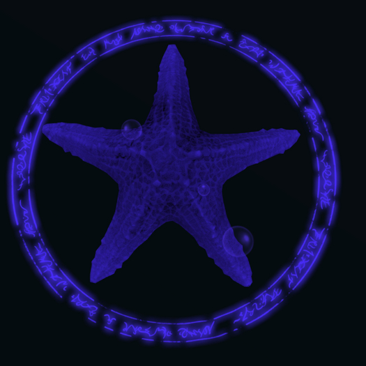 Papillon Starfish Tier 3 Tiny/Normal Weird Type- A