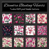 *Wallflowers* Dicentra Bleeding Hearts