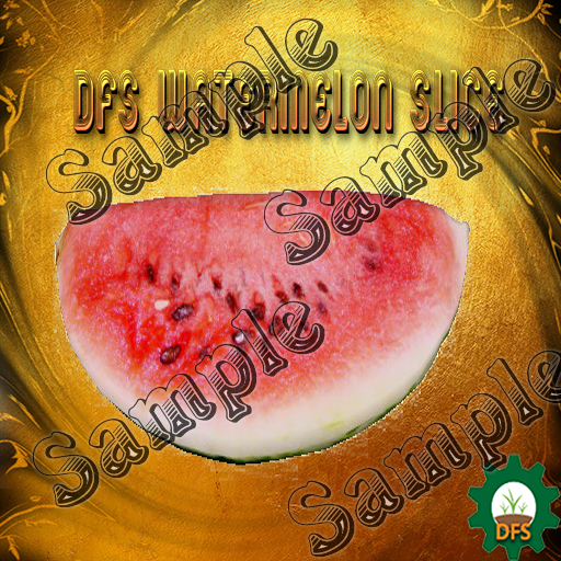 DFS Texture Watermelon Slice