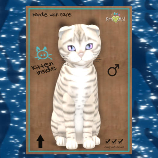 KittyCatS Box - M Toyger Snow Destiny Rivers Twinkle Fluffy 9T
