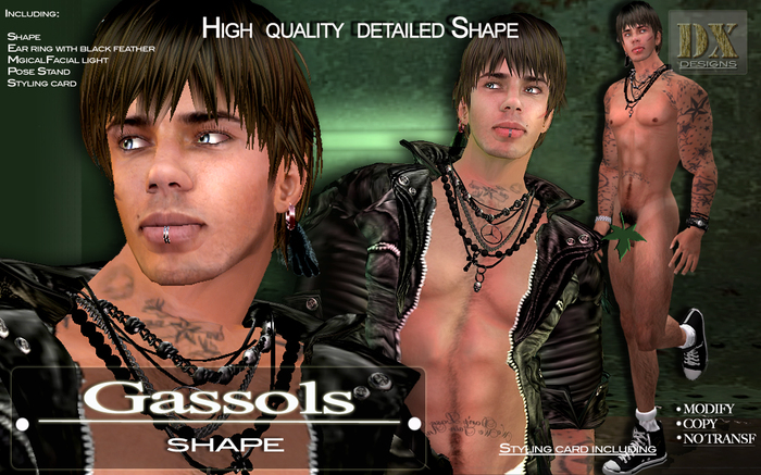[DX Designs] Gassols Shape (Boxed)