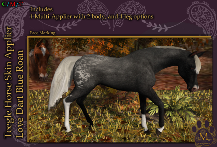 *M* TH Love Dart Blue Roan Unpacker