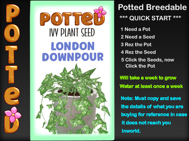 Potted: Ivy Plant Seed: London Downpour