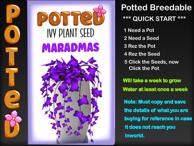 Potted: Ivy Plant Seed: Maradmas