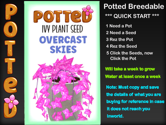 Potted: Ivy Plant Seed: Overcast Skies