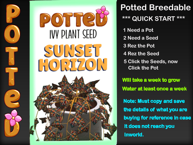 Potted: Ivy Plant Seed: Sunset Horizon