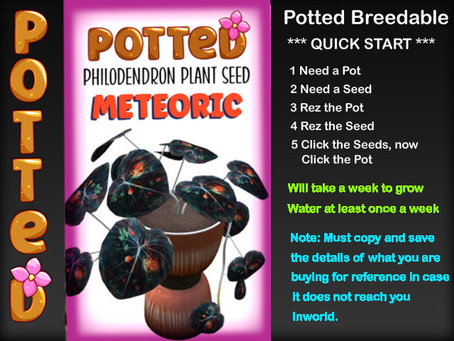 Potted: Philodendron Plant Seed: Meteoric