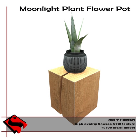Moonlight Plant Flowerpot Full Perm