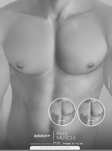 DEMO addon+ Pecs Muscle ADD-ON