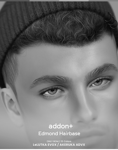 DEMO addon+ Edmond Hairbase Lel EVOX