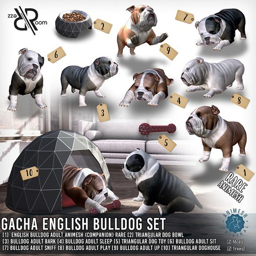 [Rezz Room]sh Bulldog Adult Animesh  (Companion) RARE
