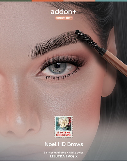 addon+ Noel HD Brows LeL