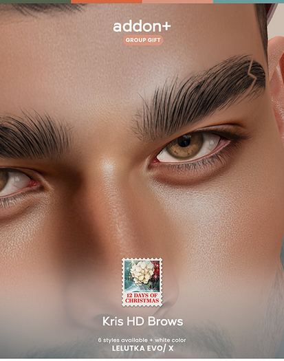 addon+ Kris HD Brows LeL