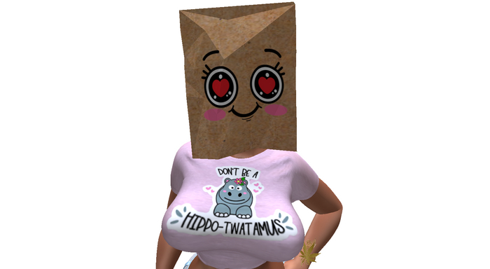 ! ! NB - Paper Bag Head FATPACK
