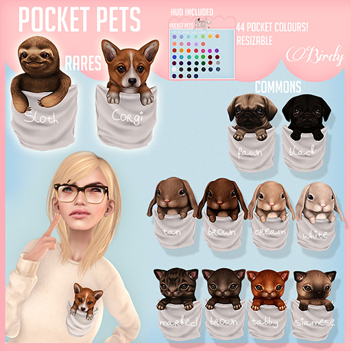 .Birdy. Pocket pet {Corgi} [BOX] RARE