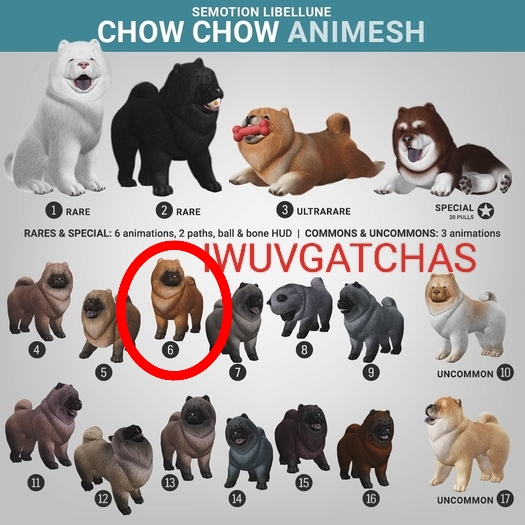 SEmotion Libellune Chow Chow Animesh COMMON 06