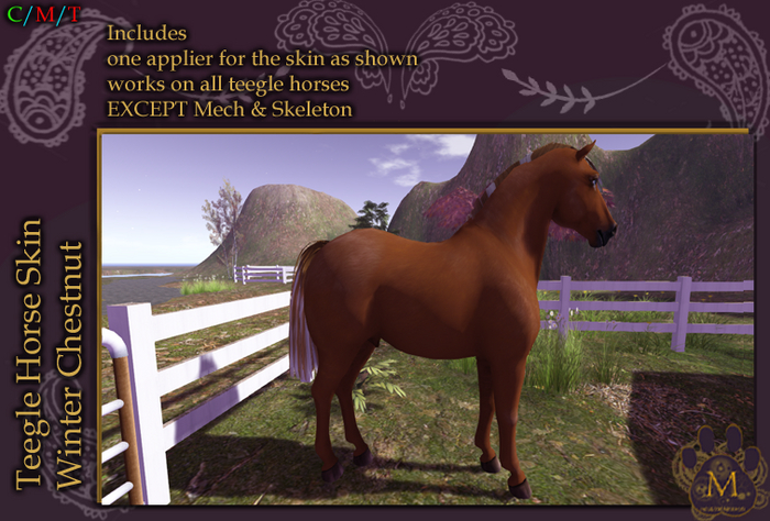 *M* teegle horse  winter chestnut Unpacker