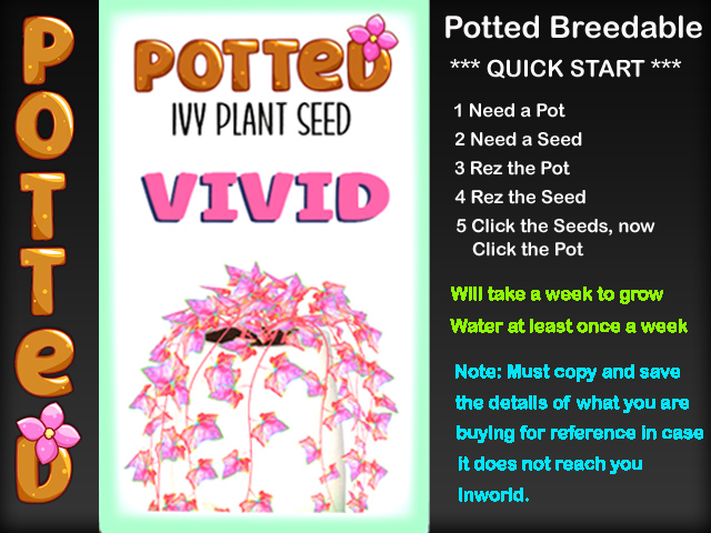 Potted: Ivy Plant Seed: Vivid