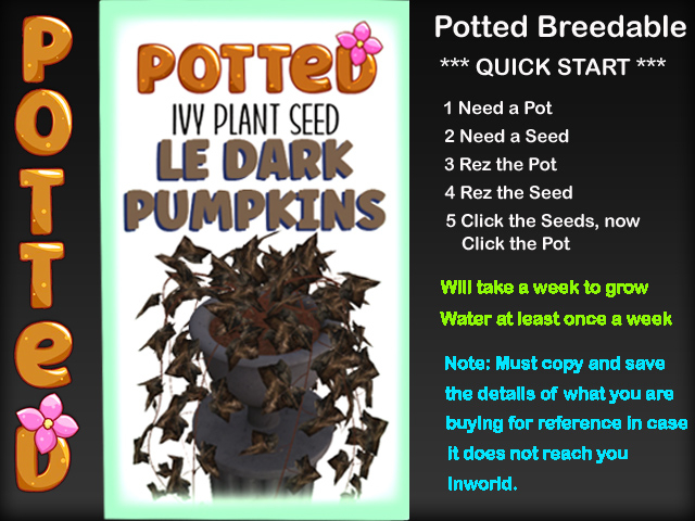Potted: Starter Ivy Plant Seed: LE Dark Pumpkins