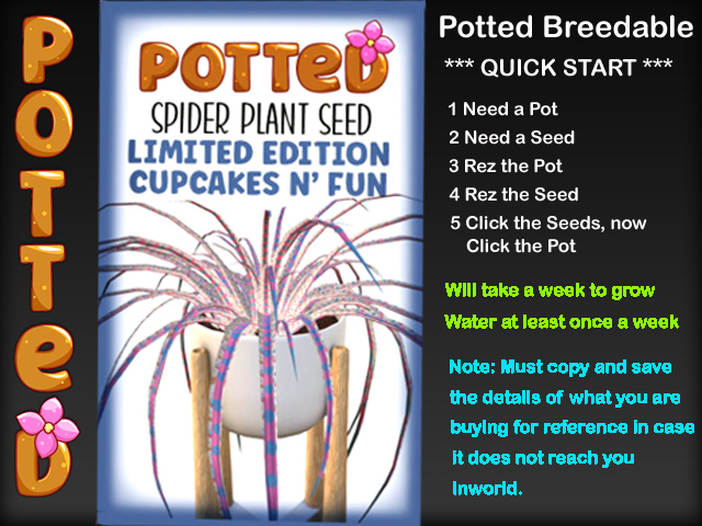 Potted: Starter Spider Plant Seed: LE Cupcakes n' Fun