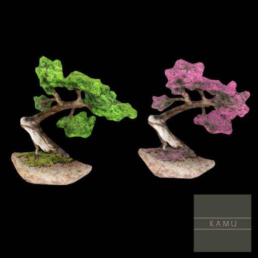 -KAMU-  Bonsai