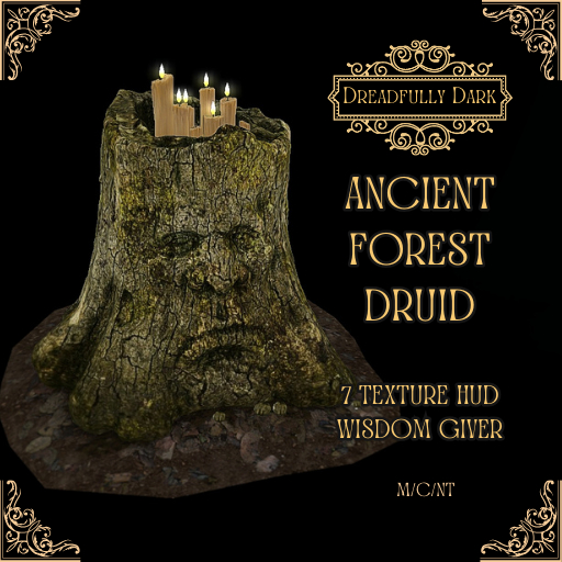 [DD] Ancient Forest Druid