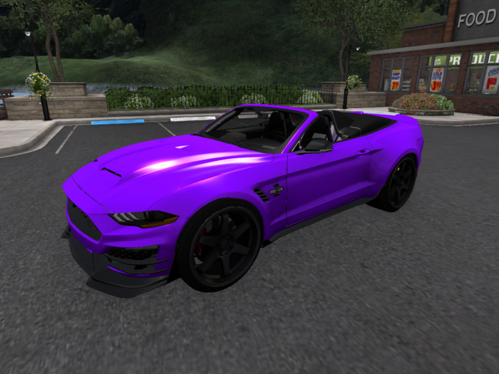 Shelby*---Purple -*