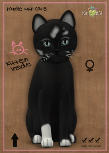 MEGAPUSS: KittyCatS Box - Genesis - Domino III - MegaPuss